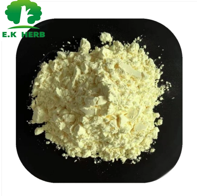 E. K Herb Factory Pure Natural Sophora Japonica Extract 98% Luteolin Sophora Japonica Extract Quercetin 95% CAS 117-39-5