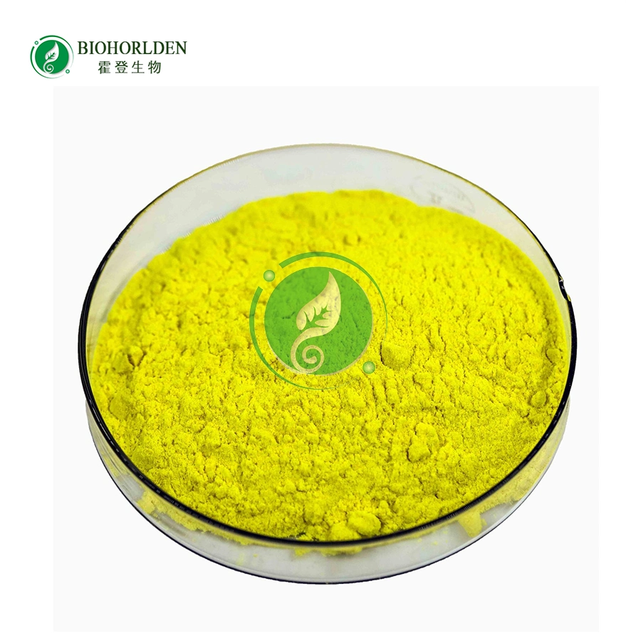 Pharmaceutical Grade High Quality Quercetin Dihydrate/Quercetin Powder 98% Quercetin