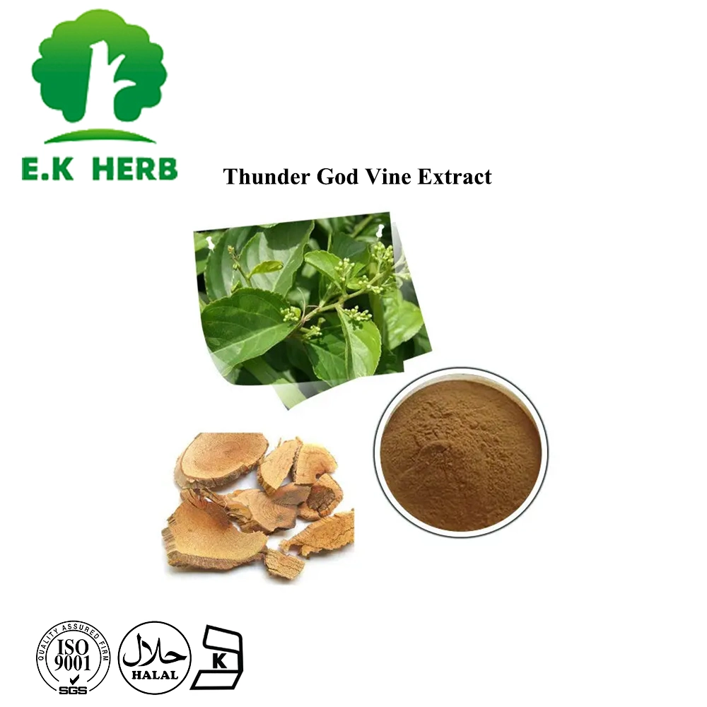 E. K Herb 100% Natural Tripterygium Wilfordii Extract Triptolide 98% Powder Thunder God Vine Extract