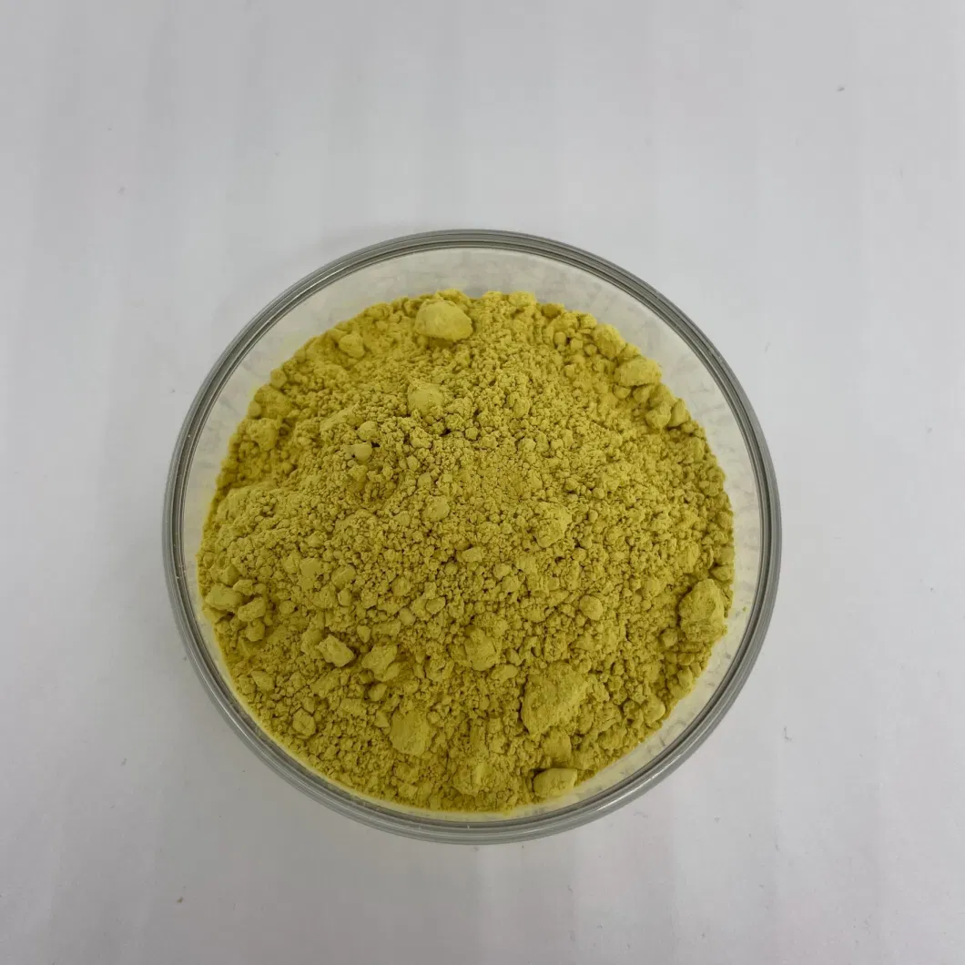 Pharmaceutical Grade 98% Quercetin Powder Quercetin Dihydrate