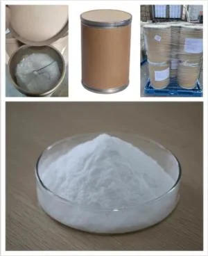 Factory Price Food Grade Fmoc-Glycine Powder Purity Degree 99%