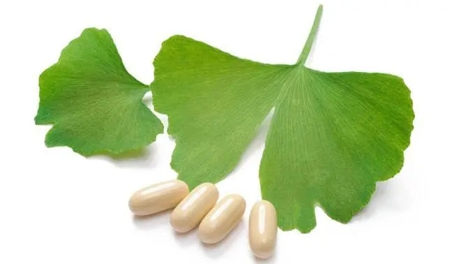 E. K Herb Natural Ginkgo Biloba Extract Ginkgo Extract Egb 761 Flavones 24% Glycosides, 6% Terpene Lactones Ginkgo Leaf Extract