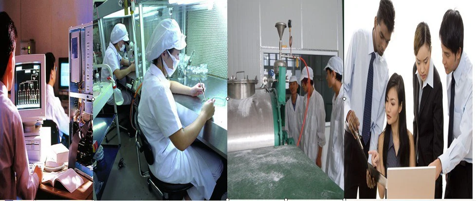 Supply Food Grade Microcrystalline Cellulose (MCC) Manufacturer in China