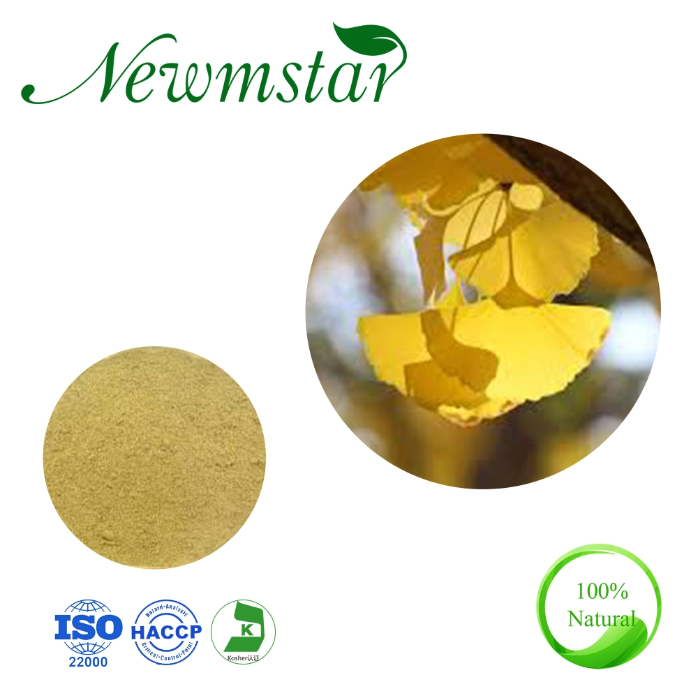 ISO Certified Natural Plant Extract 6%Lactones Flavones Glycoside 24% Ginkgo Biloba Extract