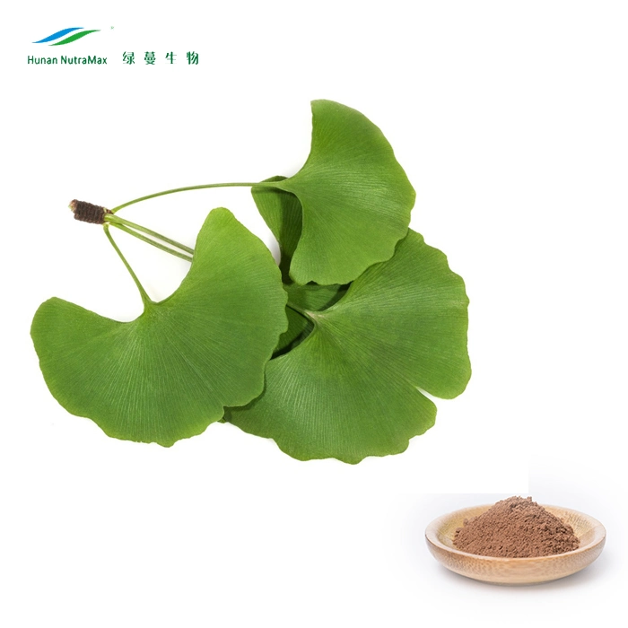 100% Natural Water Soluble 24% Ginkgolides /6% Flavonoids Ginkgo Biloba Leaf Extract Powder