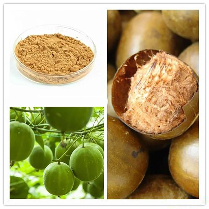 High Purity Manufacturer Supply Monk Fruit Luohanguo Extract 10: 1 20: 50: 1 90% Momordica Grosvenori Extract Monk Fruit Extract for Health Care