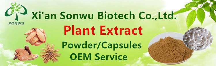 Sonwu Supply Sophora Japonica Extract Quercetin Powder Quercetin