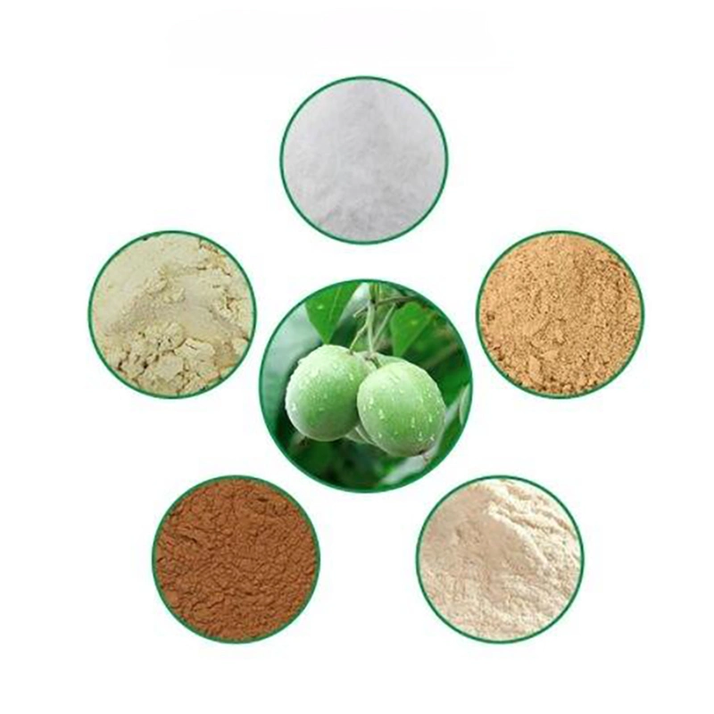 High Purity Manufacturer Supply Monk Fruit Luohanguo Extract 10: 1 20: 50: 1 90% Momordica Grosvenori Extract Monk Fruit Extract for Health Care