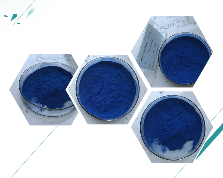 Fast Delivery Blue Spirulina Phycocyanin Powder Food Grade Spirulina Phycocyanin E10