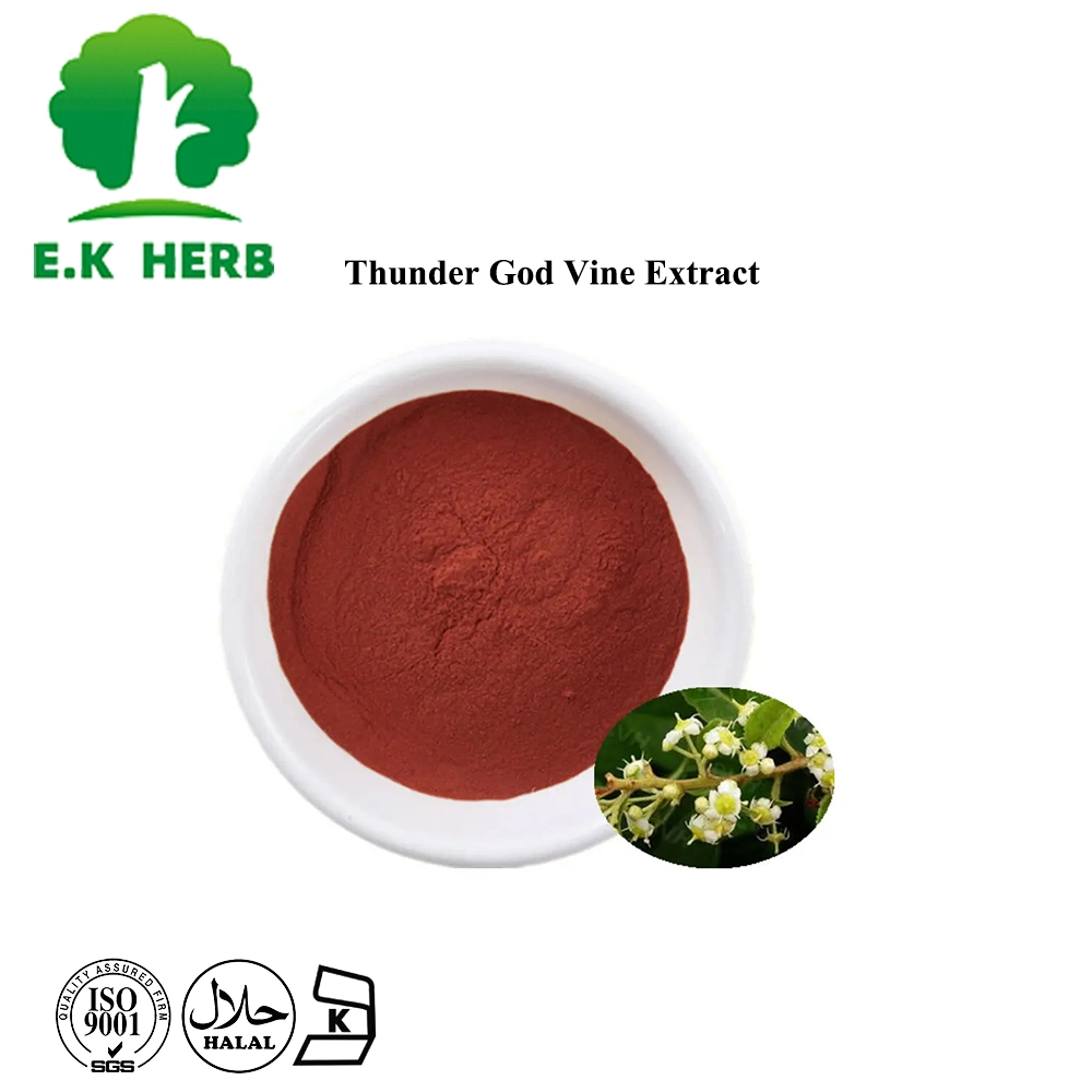 E. K Herb ISO Halal Certified Chinese Herb Lei Gong Teng Extract Tripterygium Wilfordii Extract Triptolide 98% CAS 38748-32-2