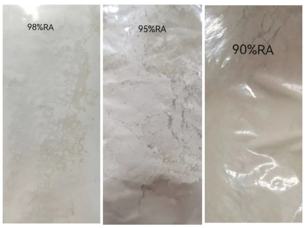 Rosemary Leaf Extract Carnosic Acid Rosmarinic Acid Powder