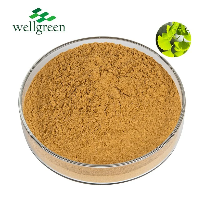 Natural Herb Extract Powder Water Soluble Ginkgo Biloba Extract