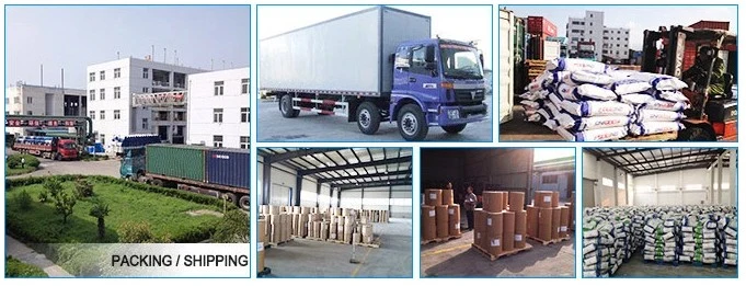 Supply Food Grade Microcrystalline Cellulose (MCC) Manufacturer in China