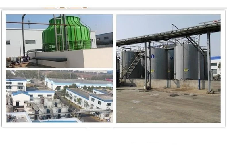 Supply Food Grade Microcrystalline Cellulose (MCC) Manufacturer in China