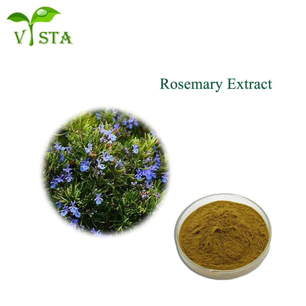 ISO Certified Plant Extract Food Supplement Ursolic Acid Carnosic Acid Rosmarinic Acid Rosemary Extract