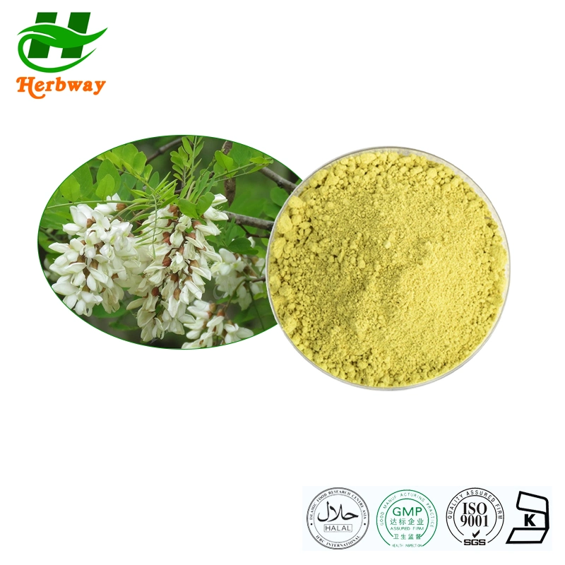 Herbway Free Sample Anti-Inflammatory Sophora Japonica Extract 95% 99% Quercetin