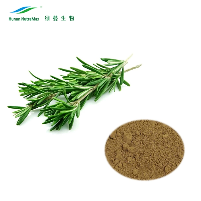 China Manufacturer 6%-80% Carnosic Acid Rosemary Extract