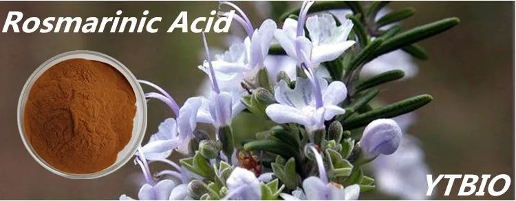 Ursolic Acid 50% / Rosmarinic Acid 50% / Carnosic Acid 50%