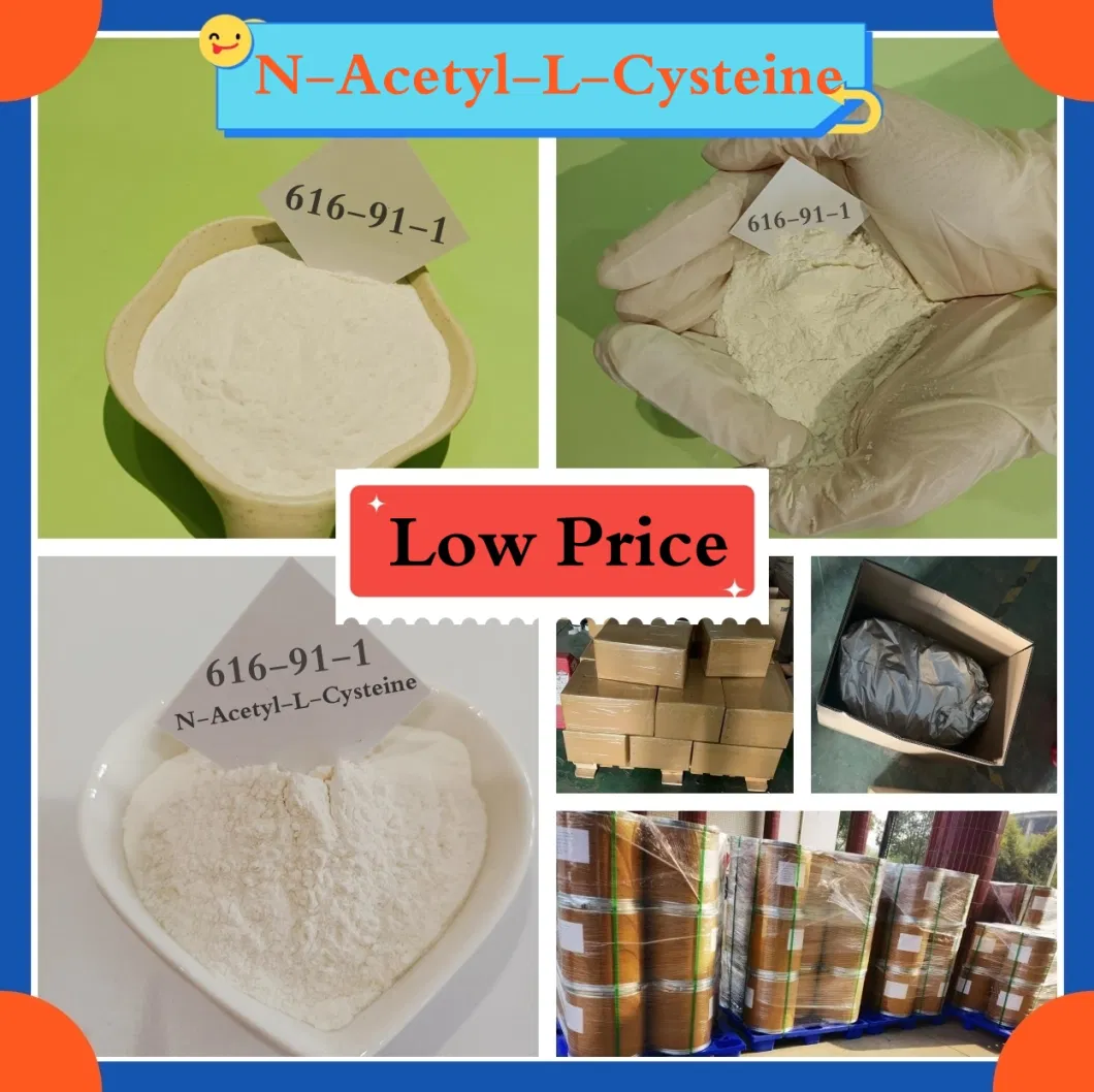 Top Quality N-Acetyl-L-Cysteine CAS 616-91-1 with Bulk Price