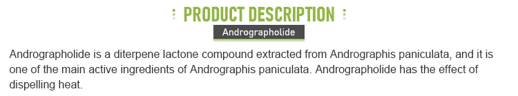 Andrographis Paniculata Extract Healthcare Supplement Andrographolide Powder