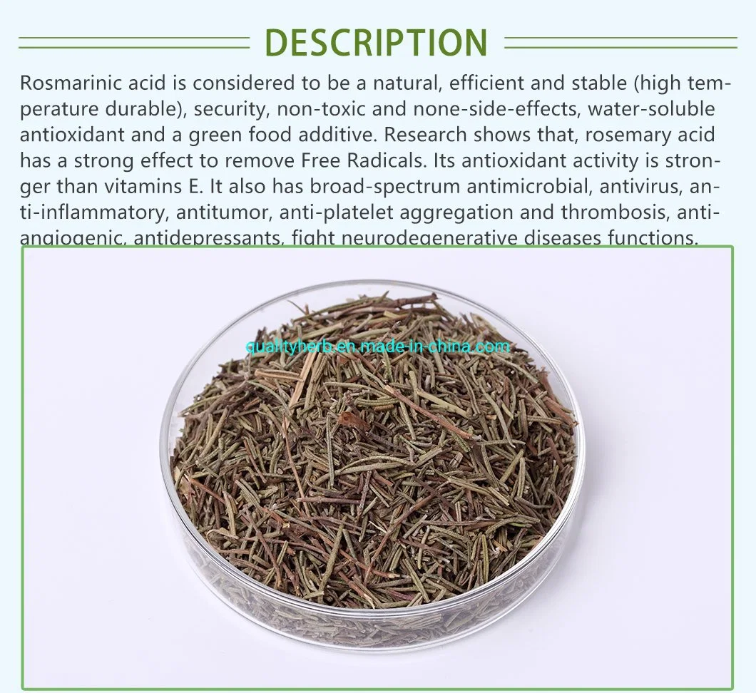 Rosemary Leaf Extract Carnosic Acid Powder for Supplement