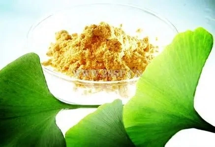 E. K Herb Natural Ginkgo Biloba Extract Ginkgo Extract Egb 761 Flavones 24% Glycosides, 6% Terpene Lactones Ginkgo Leaf Extract