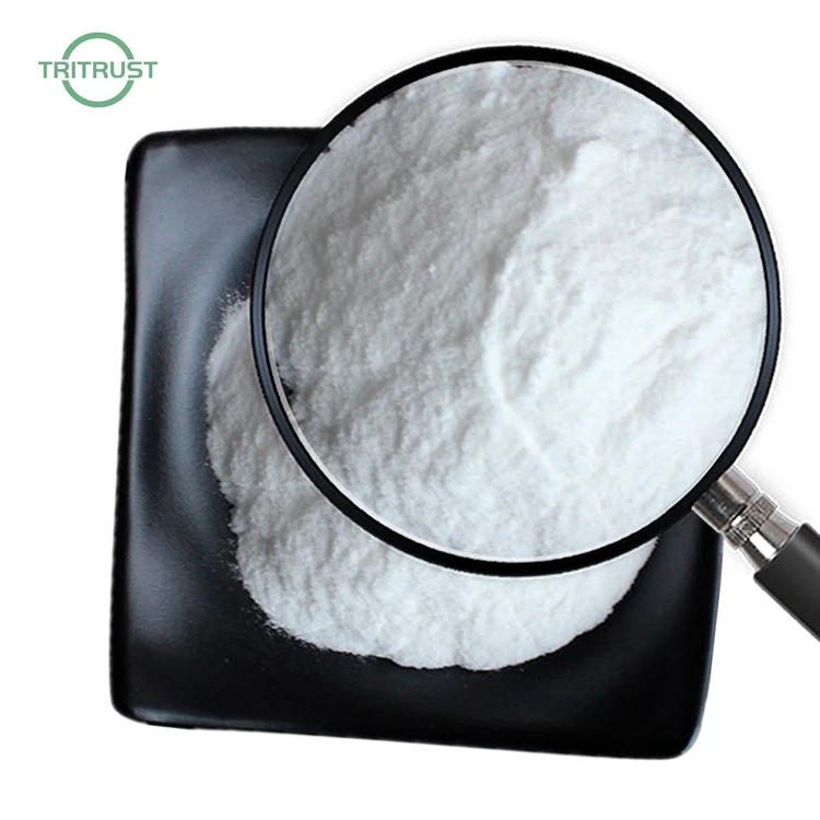 Wholesale Quercetin Capsule CAS 117-39-5 Quercetin Dihydrate Powder Japonica Extract Quercetin