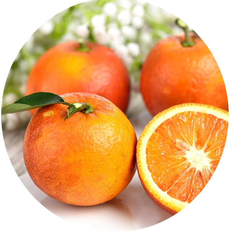 Citrus Extract Sweetner Neohesperidine Dihydrochalcone Powder Nhdc
