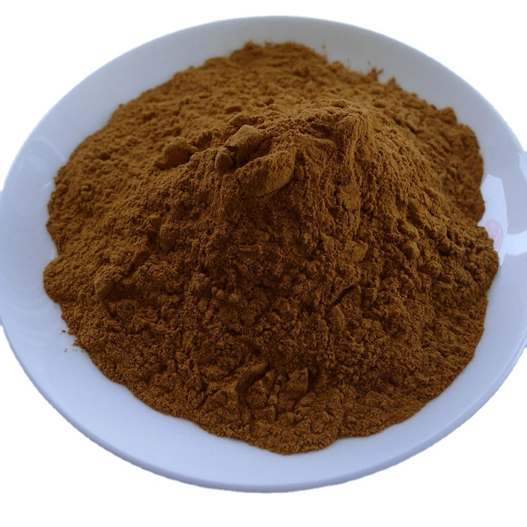 Rosemary Extract (Fructus Rosae Laevigatae) 10: 1, 5% Romarinic Acid