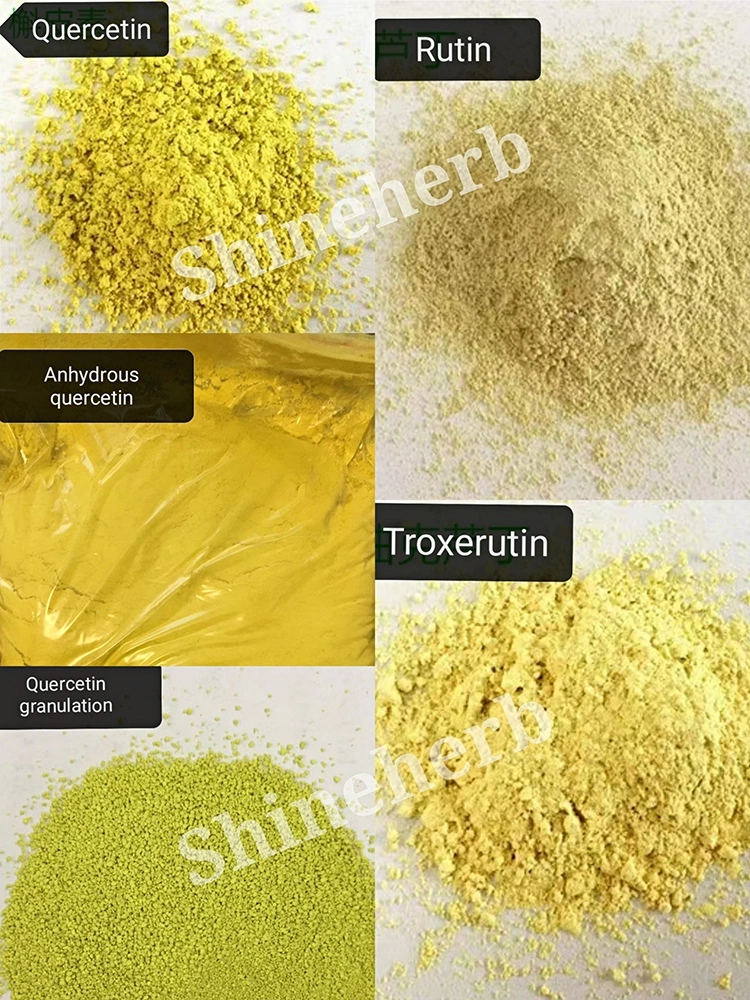 Free Sample Wholesale Natural Quercetin Granule / Quercetin Powder
