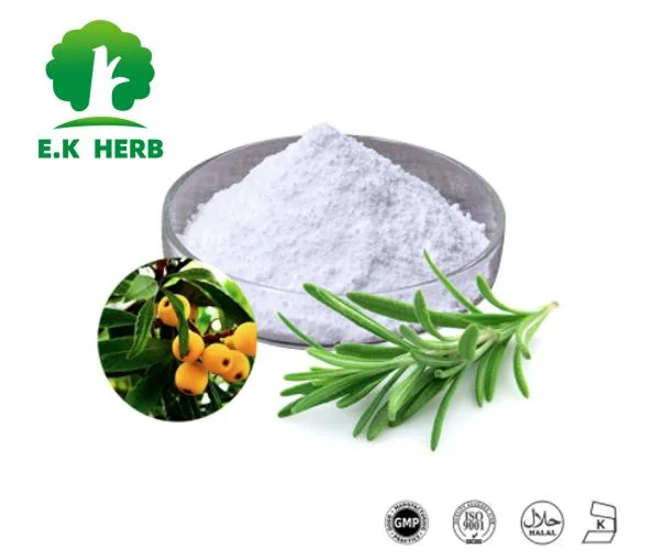 E. K Herb Factory Price Wholesale100% Natural Plant Extract Anti-Hepatitis &amp; Skin Care Whitening &amp; Moisturizing Ursolic Acid5%-98% Loquat Leaf Rosemary Extract