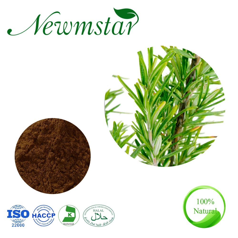 Rosemary Extract (Fructus Rosae Laevigatae) 10: 1, 5% Romarinic Acid