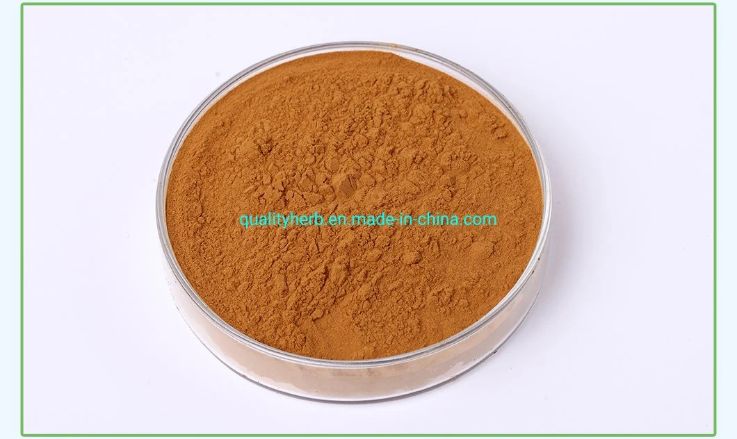 Rosemary Leaf Extract Carnosic Acid Powder for Supplement