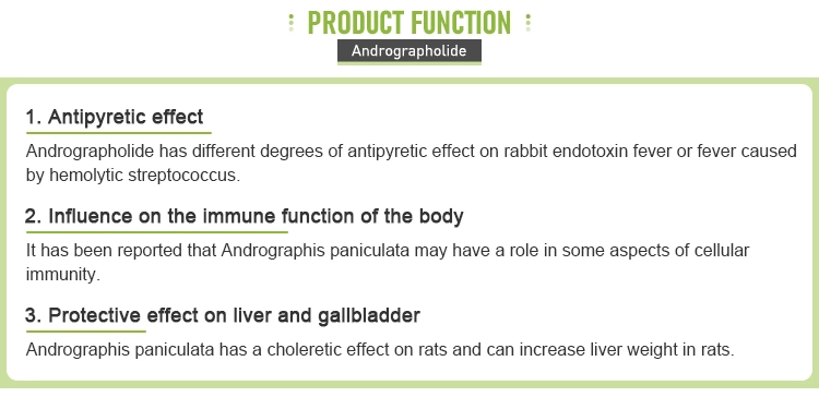 Andrographis Paniculata Extract Healthcare Supplement Andrographolide Powder