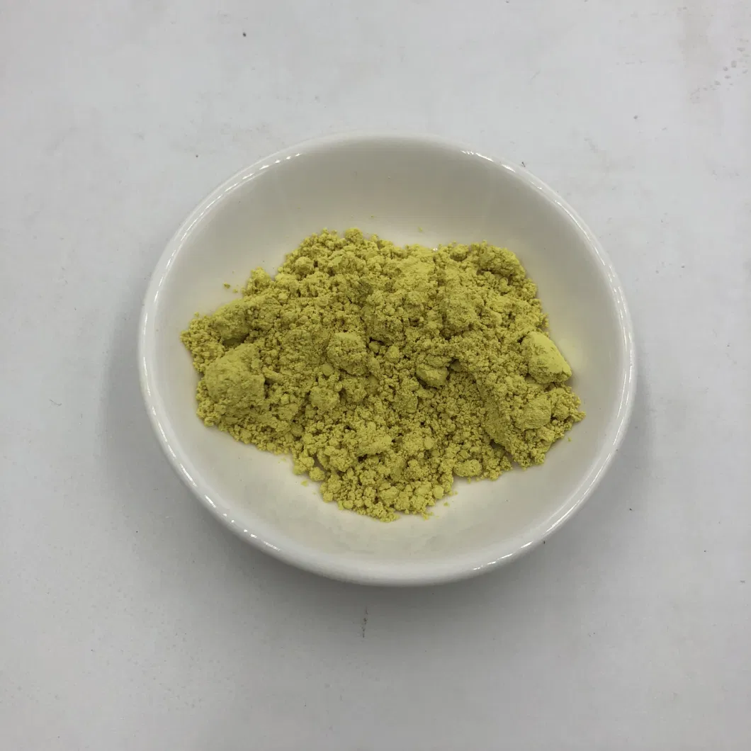 Natural Sophora Japonica Extract 95% 99% Quercetin