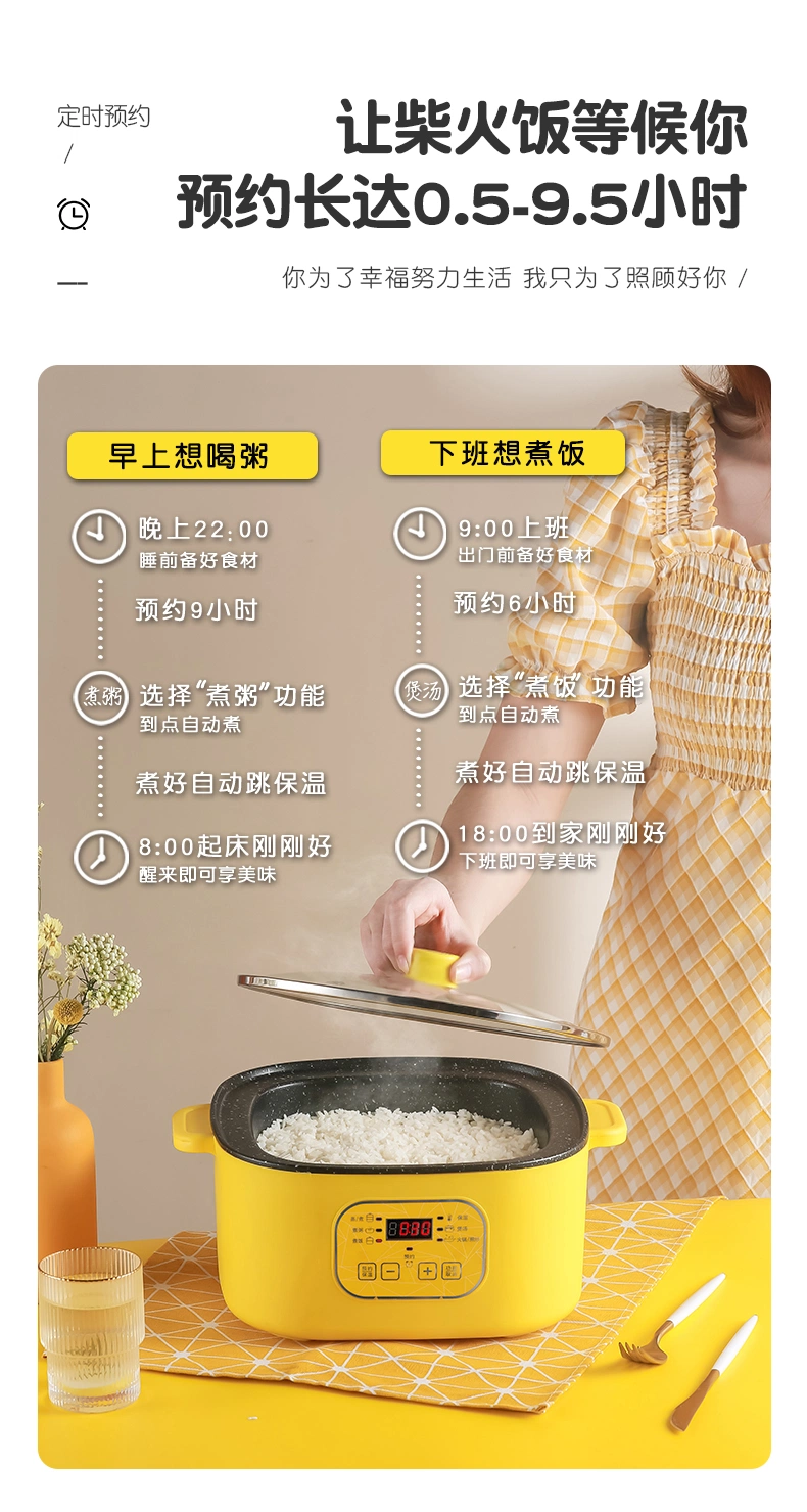 Xbc-30 Square Double Mechanical Single-Layer Electric Cooking Pot, Electric Steamer, Electric Frying Pan