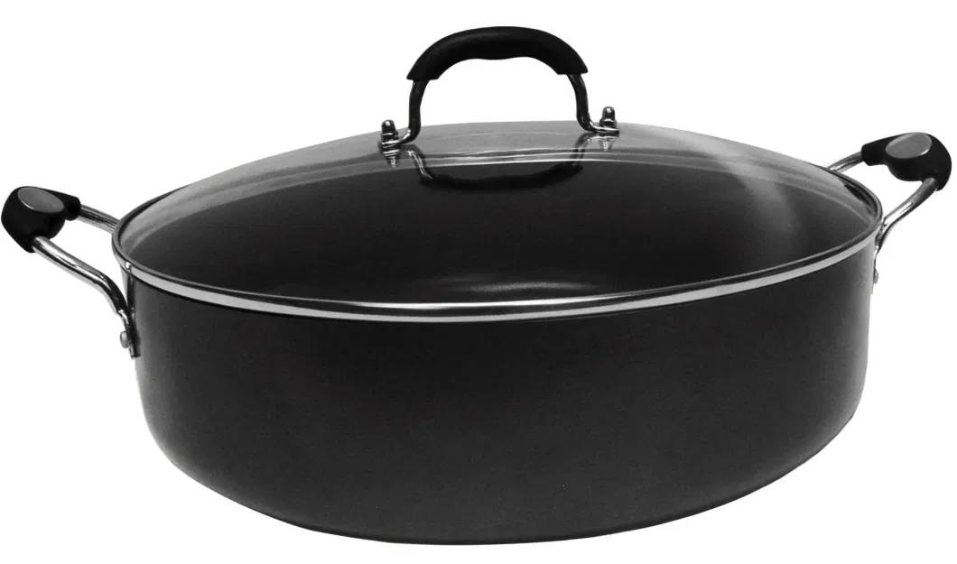 Easy to Store Large Nonstick Fish Beef Roast Skillet with See Through Glass Lid