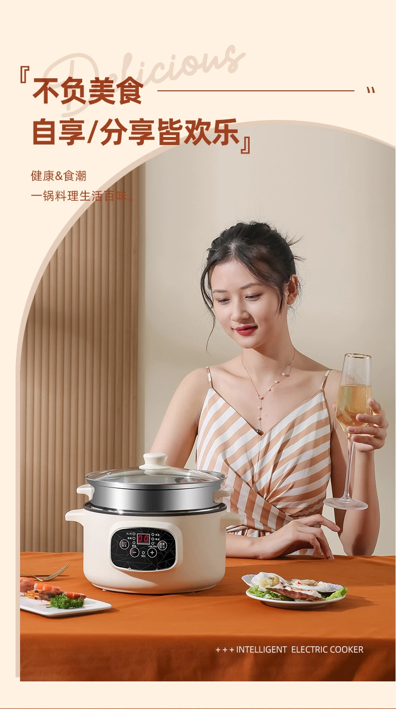 Factory Direct Double-Layer Electric Hot Pot Stainless Steel Steamer Dormitory Electric Steamer Home Small Cooking Pot