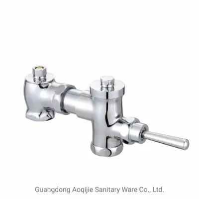Lavaggio del ritardo di tempo della valvola di lavaggio del gradino del pedale flushometro a filo di rame Valvola per accessori bagno valvola lavaggio coppa squat