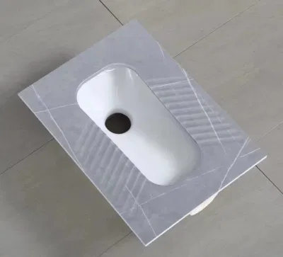 Tipo di squat armadio ad acqua sanitari WC in ceramica Slate Squatting Panoramica