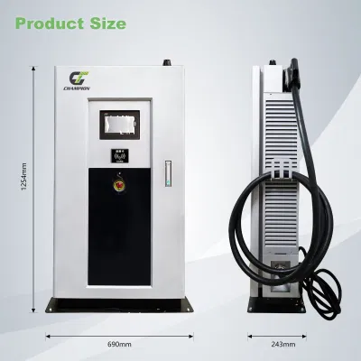 Champion Floor Mounted Commercial 30kw 40kw 60kw Fast EV Charger for Electric Car and Bus with Ocpp and CE