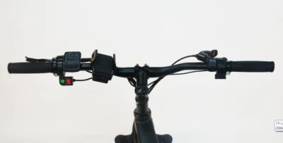 2020 New Hummer Style Lithium Power Electric Bicycle Beach Cruiser Ebike Fat Tire E Bike