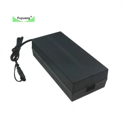 12V 48V 72V 10A 12ah 50A 20 30 50 AMP Electric Vehicle E Rickshaw Motor Xt60 Class 2 Used DC-DC LiFePO4 Battery Charger