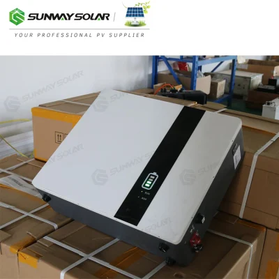 Powerwall Smart Charger for Solar Panels 6000 Cycle 51.2V 200ah 10kwh Battery