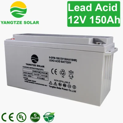 150ah Maintenance Free Deep Cycle Battery Charger