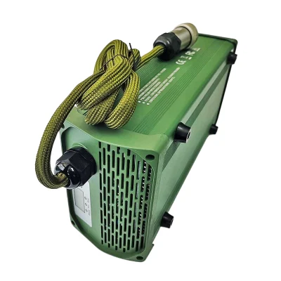 Super Portable Charger 60V 13A 14A 15A 1200W for SLA /AGM /VRLA /Gel Lead Acid Batteries Energy Storage Battery with CE for Industrial and Commercial Robots