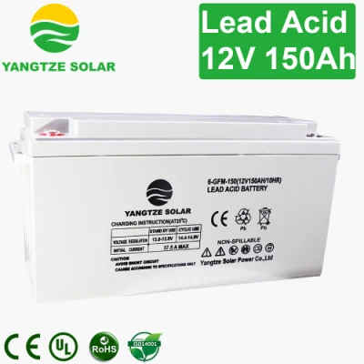 150ah Maintenance Free Deep Cycle Battery Charger