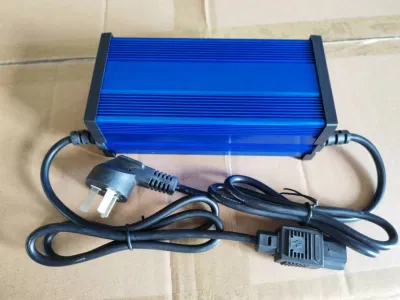 58.4V Lithium Ion Battery Charger with LED Charging Percentage Display