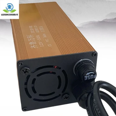 Lithium Ion Battery Charger 12V Customized Ebike LiFePO4 E-Bike Electric Scooter Battery Charger