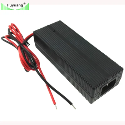 Fuyuang Lithium Ion Battery Charger for E-Scooter Drone 1A 2A 48V 3A E Bike Battery Charger